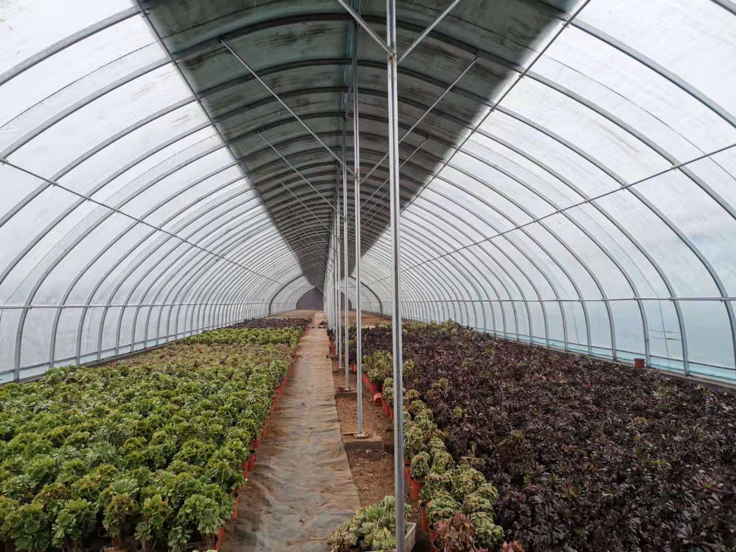 必赢3003no1线路检测中心