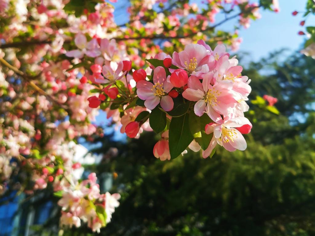 必赢3003no1线路检测中心