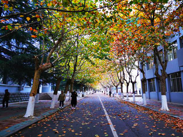 必赢3003no1线路检测中心