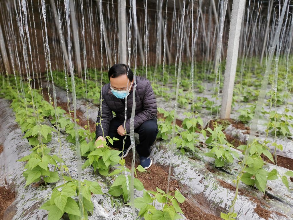 必赢3003no1线路检测中心