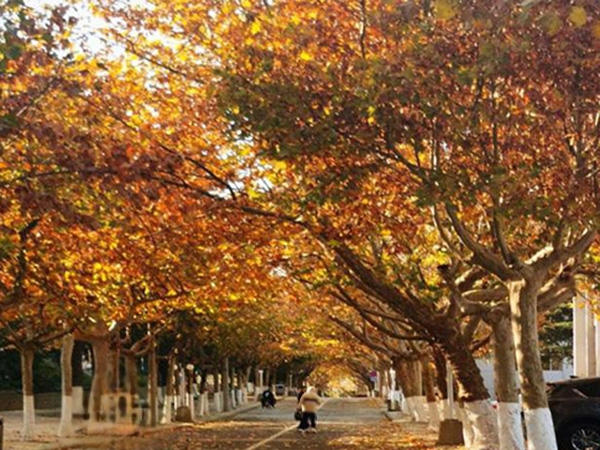 必赢3003no1线路检测中心