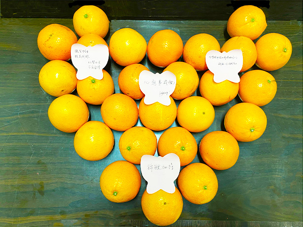 必赢3003no1线路检测中心