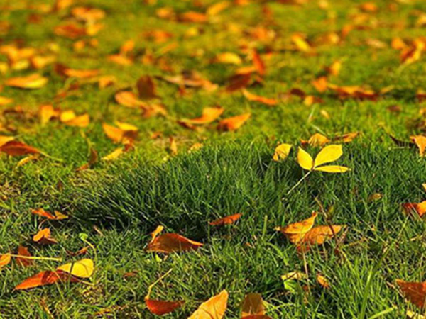 必赢3003no1线路检测中心