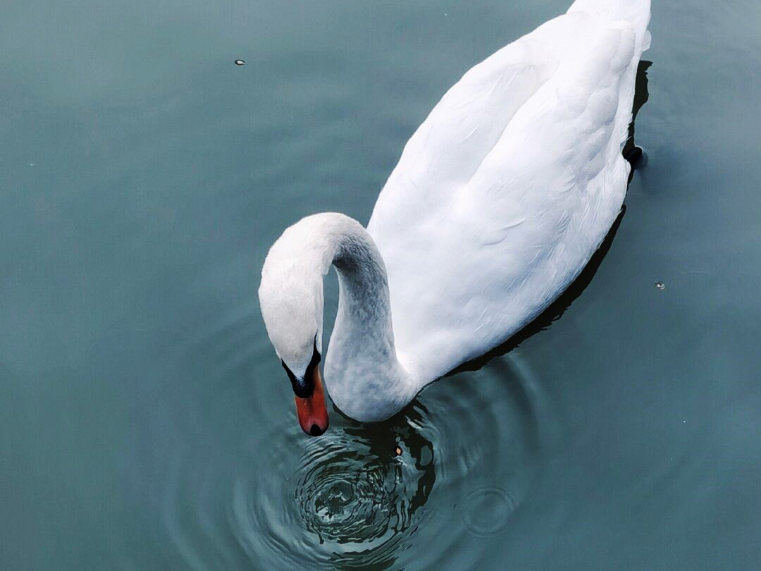 必赢3003no1线路检测中心