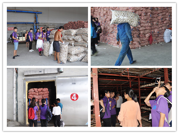 必赢3003no1线路检测中心