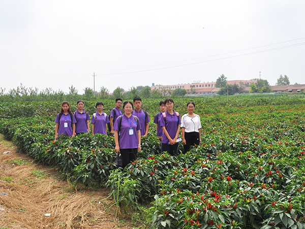 必赢3003no1线路检测中心