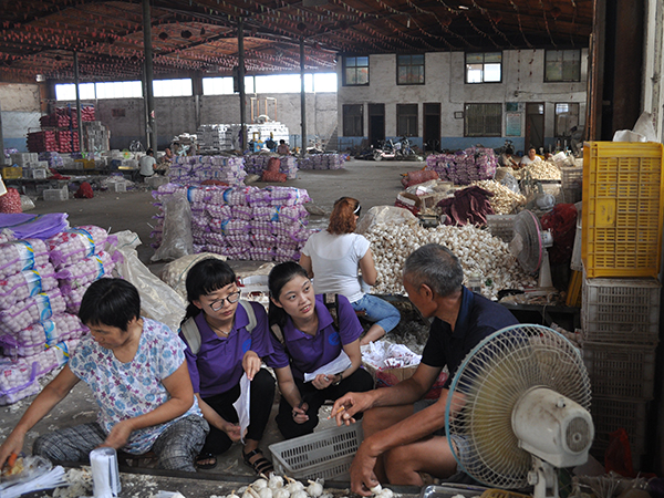 必赢3003no1线路检测中心